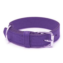 Lavender cork dog collar