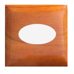 Belt Brown Wood 